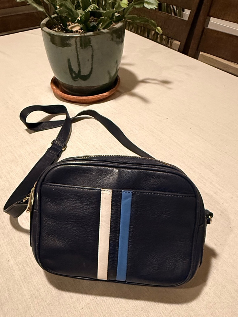 Talbots Navy Leather Crossbody Purse Blue White Stripe Small Bag